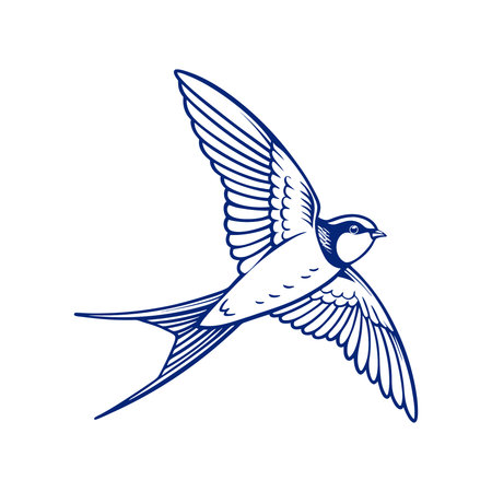 swallow bird cartoon icon over white background. colorful design. vector illustrationのイラスト素材
