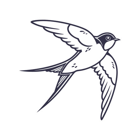 swallow bird cartoon icon over white background. colorful design. vector illustrationのイラスト素材