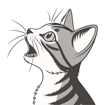 Illustration of a cat's head isolated on a white background.のイラスト素材