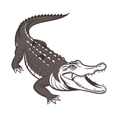 Crocodile. Vector illustration of a cartoon crocodile.のイラスト素材