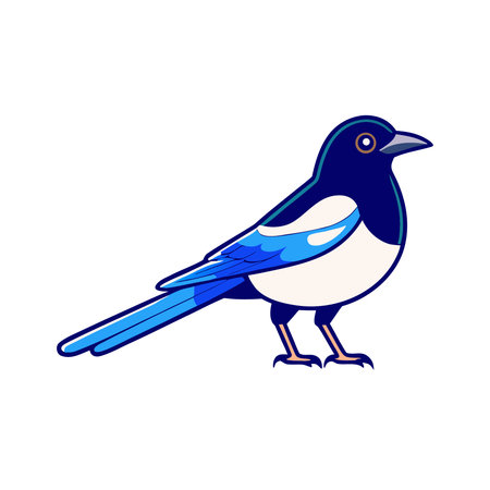 Magpie icon. Cartoon illustration of magpie vector icon for web designのイラスト素材