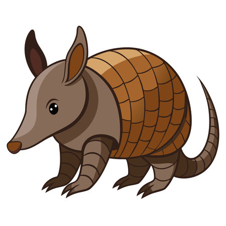 Armadillo isolated on white background. Vector illustration in cartoon style.のイラスト素材