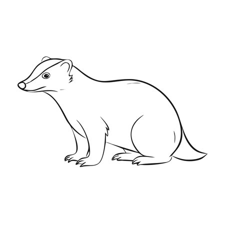 Cute cartoon badger isolated on white background. Vector illustration.のイラスト素材