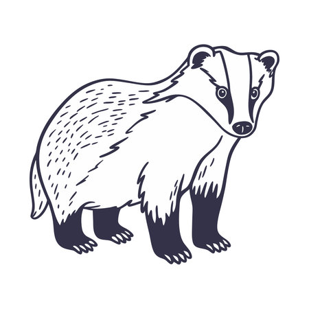 Cute cartoon badger isolated on white background. Vector illustration.のイラスト素材