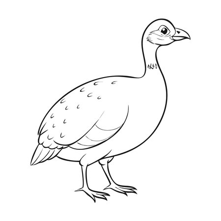 guineafowl isolated on white background. Vector illustration in flat style.のイラスト素材