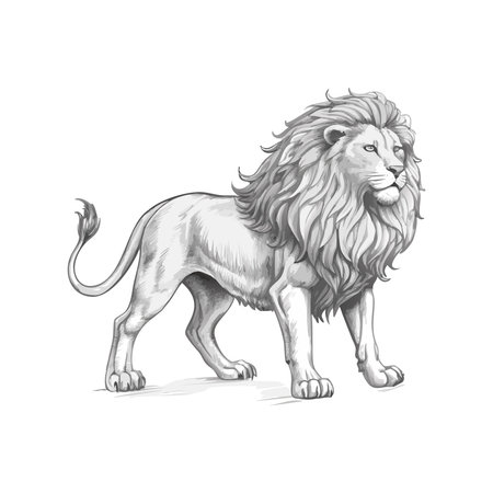 Cartoon lion isolated on white background. Vector illustration in flat style.のイラスト素材