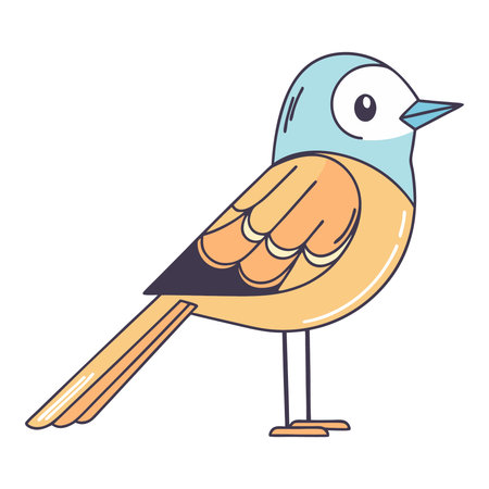 Magpie bird wagtail isolated on white background. Vector illustration in flat style.のイラスト素材