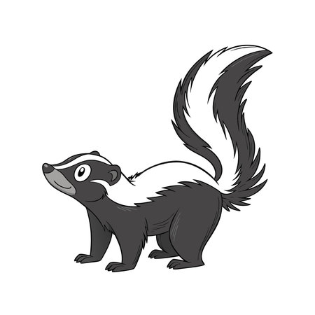 Vector illustration of a skunk on white background. Isolated.のイラスト素材