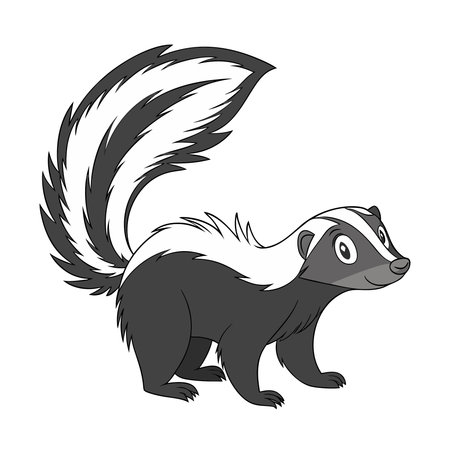 Vector illustration of a skunk on white background. Isolated.のイラスト素材