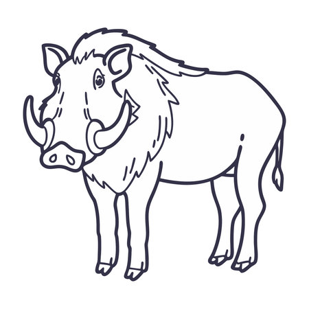 Wild boar isolated on white background. Vector illustration in cartoon style.のイラスト素材
