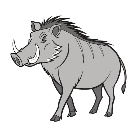 Wild boar isolated on white background. Vector illustration in cartoon style.のイラスト素材