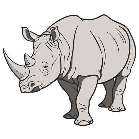 Rhinoceros isolated on a white background. Vector illustration.のイラスト素材