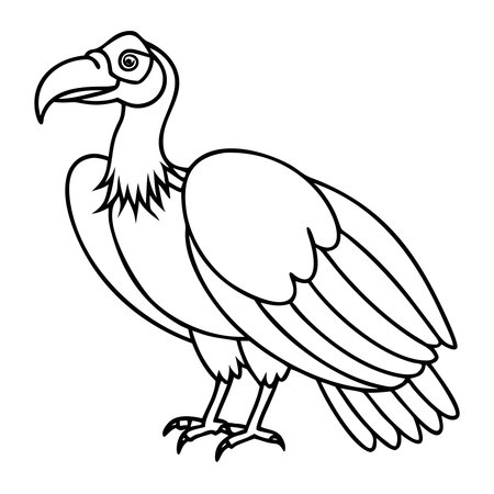 Vulture. Vector illustration of a vulture on a white background.のイラスト素材