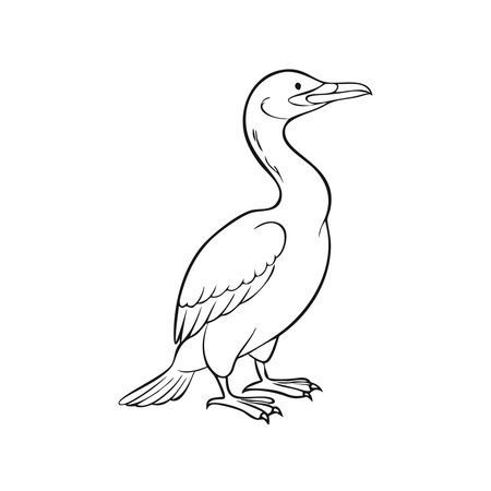 Cormorant isolated on a white background. Vector illustration.のイラスト素材