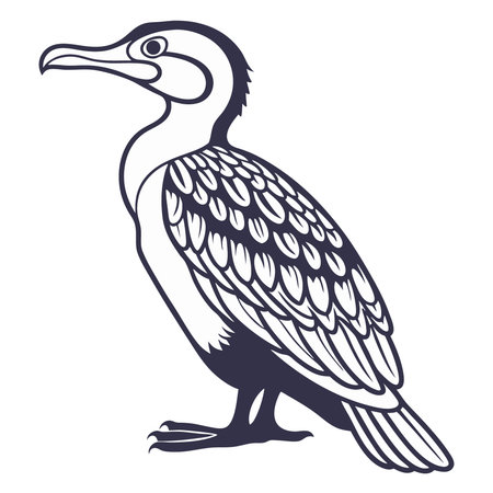 Cormorant isolated on a white background. Vector illustration.のイラスト素材