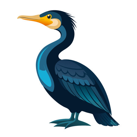 Cormorant isolated on a white background. Vector illustration.のイラスト素材