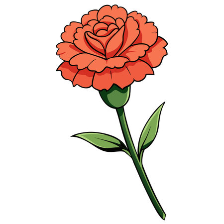 Carnation flower isolated on a white background. Vector illustration.のイラスト素材