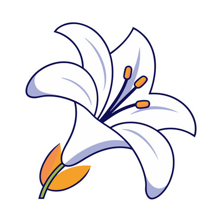beautiful lily flower icon over white background. colorful design. vector illustrationのイラスト素材