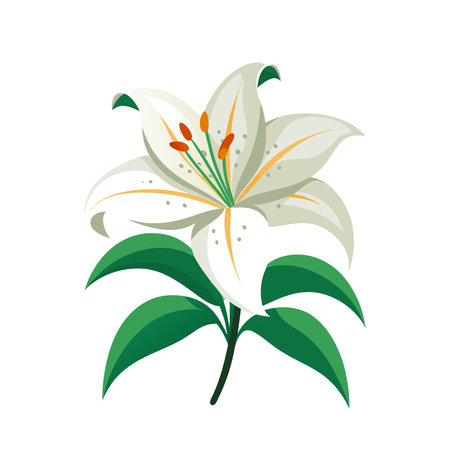 beautiful lily flower icon over white background. colorful design. vector illustrationのイラスト素材