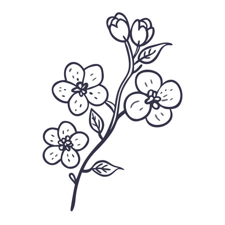 apricot blossom branch on a white background, vector illustration.のイラスト素材