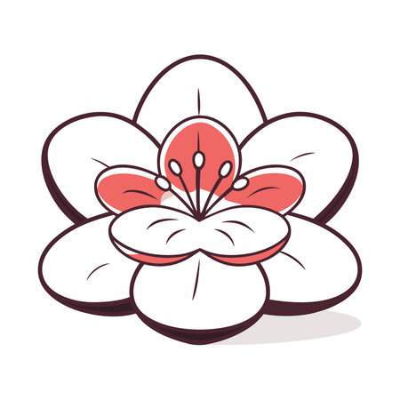 apricot blossom branch on a white background, vector illustration.のイラスト素材