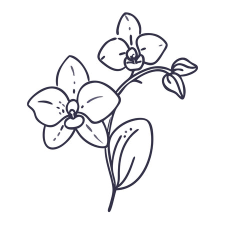 Orchid flower icon. Cartoon illustration of orchid flower vector icon for web designのイラスト素材