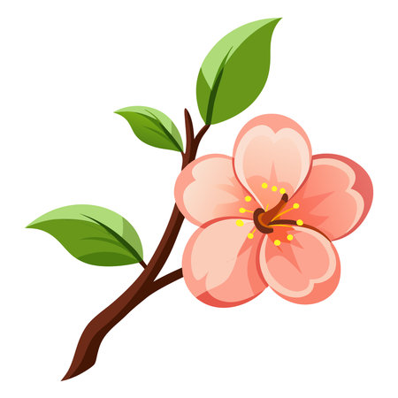 Cherry blossom icon. Cartoon of cherry blossom vector icon for web design isolated on white backgroundのイラスト素材
