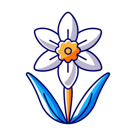 Narcissus flower on a white background. Vector illustration.のイラスト素材