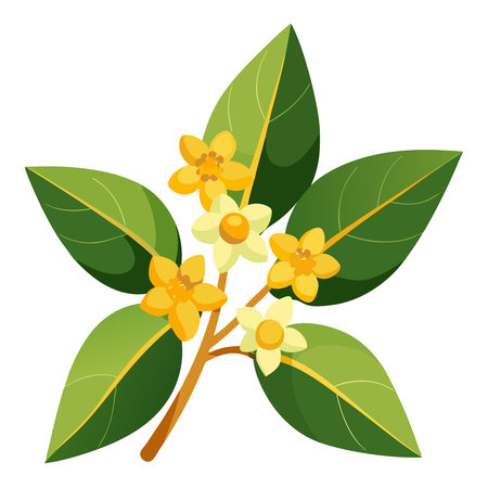 cute osmanthus flower with leaves decorative icon vector illustration design vector illustration designのイラスト素材