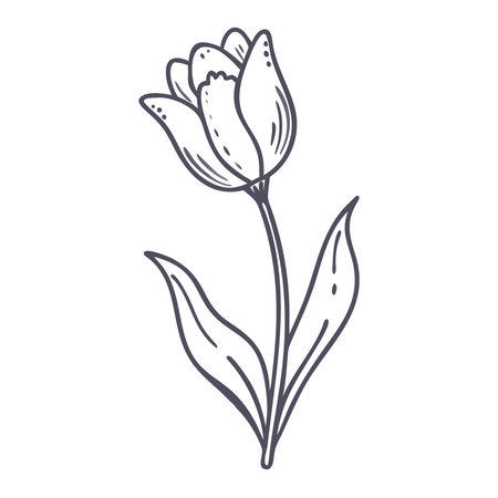 Tulip flower icon. Flat illustration of tulip flower icon for webのイラスト素材