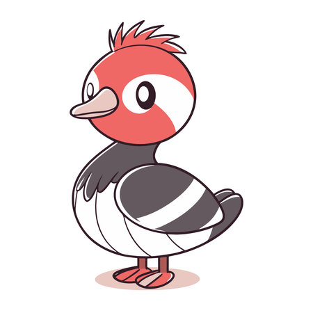 Mandarin duck on white background. Vector illustration. Cartoon style.のイラスト素材