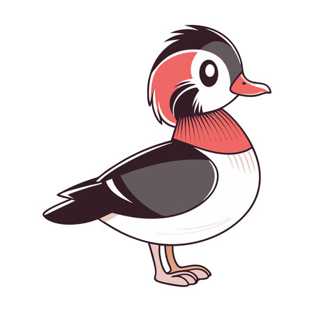 Mandarin duck on white background. Vector illustration. Cartoon style.のイラスト素材