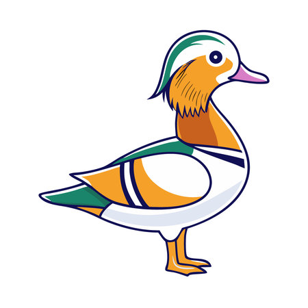 Mandarin duck on white background. Vector illustration. Cartoon style.のイラスト素材