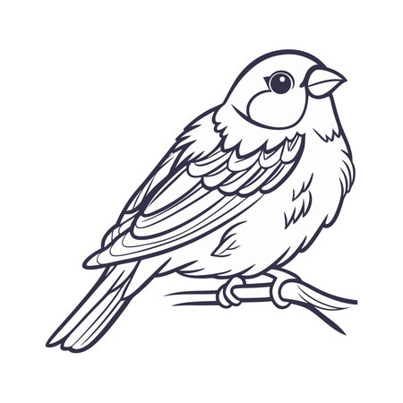 Sparrow isolated on white background. Vector illustration in cartoon style.のイラスト素材