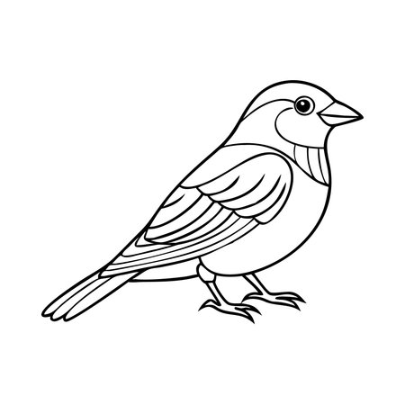 Sparrow. Coloring book for children. Vector illustration.のイラスト素材