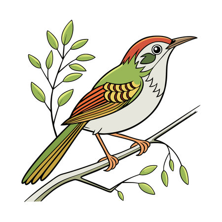 Cute bird sitting on a branch. Hand drawn vector illustration.のイラスト素材