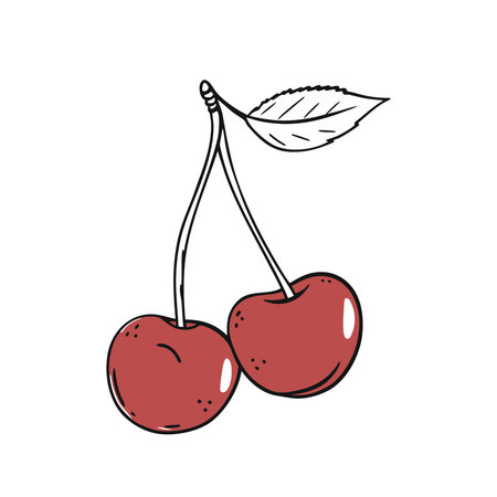 Cherry. Vector illustration of a cherry on a white background.のイラスト素材