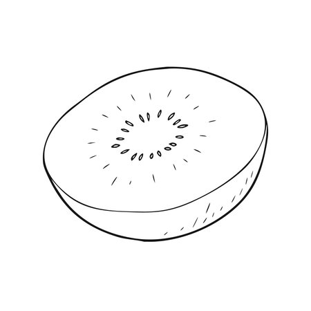 Kiwi fruit icon in isometric 3d style on a white backgroundのイラスト素材