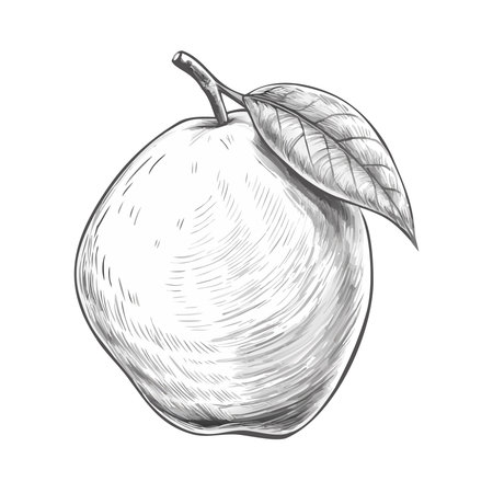 Mango fruit icon. Flat illustration of mango fruit vector icon for webのイラスト素材