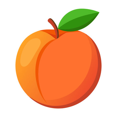 peach icon. Cartoon illustration of peach vector icon for webのイラスト素材