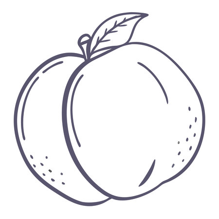 peach icon. Cartoon illustration of peach vector icon for webのイラスト素材