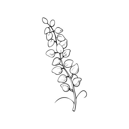 Wisteria flowers isolated on a white background. Vector illustration.のイラスト素材