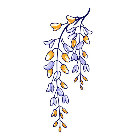 Wisteria flowers isolated on a white background. Vector illustration.のイラスト素材