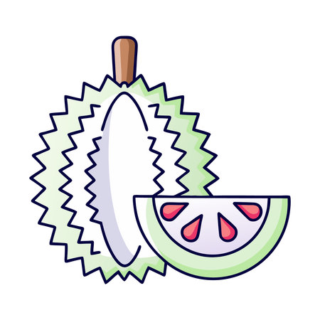 Illustration of Durian fruit on a white background. Vector illustrationのイラスト素材