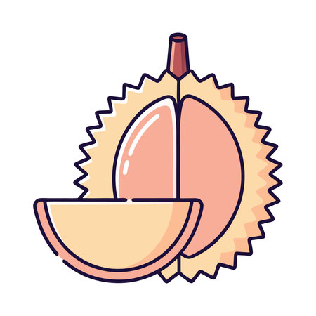 Illustration of Durian fruit on a white background. Vector illustrationのイラスト素材
