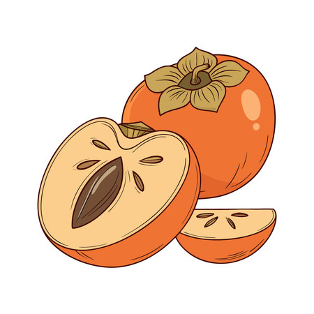Persimmon fruit. Vector illustration of a persimmon.のイラスト素材
