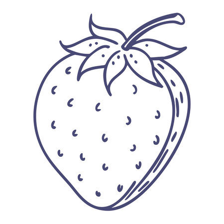 Strawberry vector hand drawn illustration. Isolated on white background.のイラスト素材