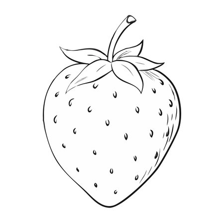 Strawberry vector hand drawn illustration. Isolated on white background.のイラスト素材