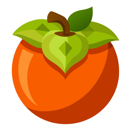 Ripe persimmon icon. Cartoon illustration of ripe persimmon vector icon for webのイラスト素材