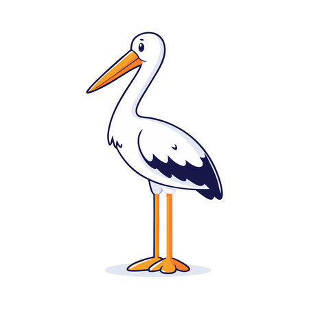 White stork isolated on white background. Stork vector illustration.のイラスト素材